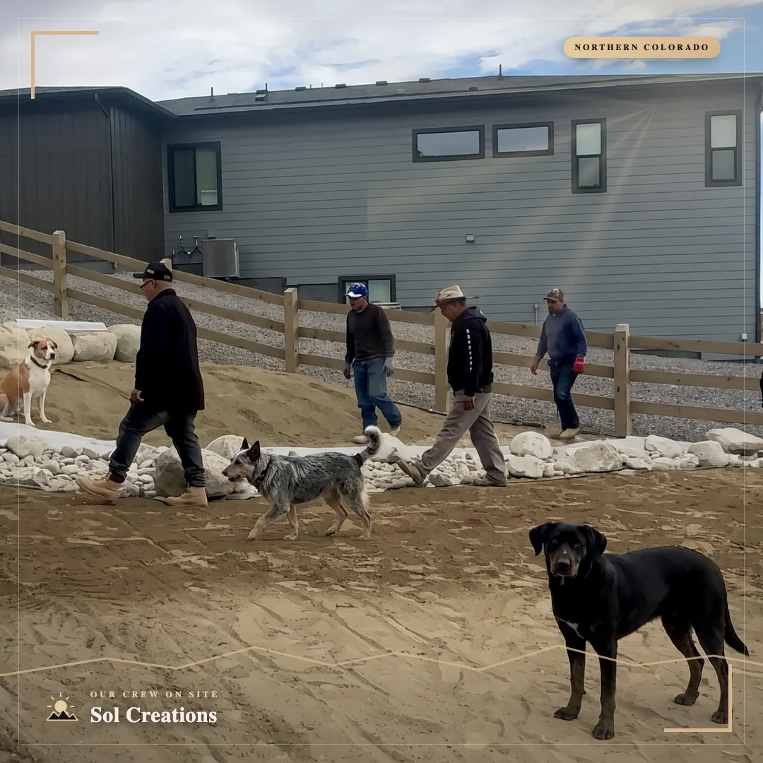 The SOL Creations crew and their dogs on a Northern Colorado jobsite